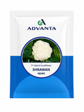 Advanta F1 Hybrid SHRAWAN F1 Hybrid Cauliflower (GOBHI) Seeds, High Yield Variety For All Seasons