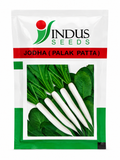 Indus Seeds F1 Hybrid JODHA Radish Seeds (Mooli) | Premium Outdoor Vegetable Seeds | High Yield White Long Radish