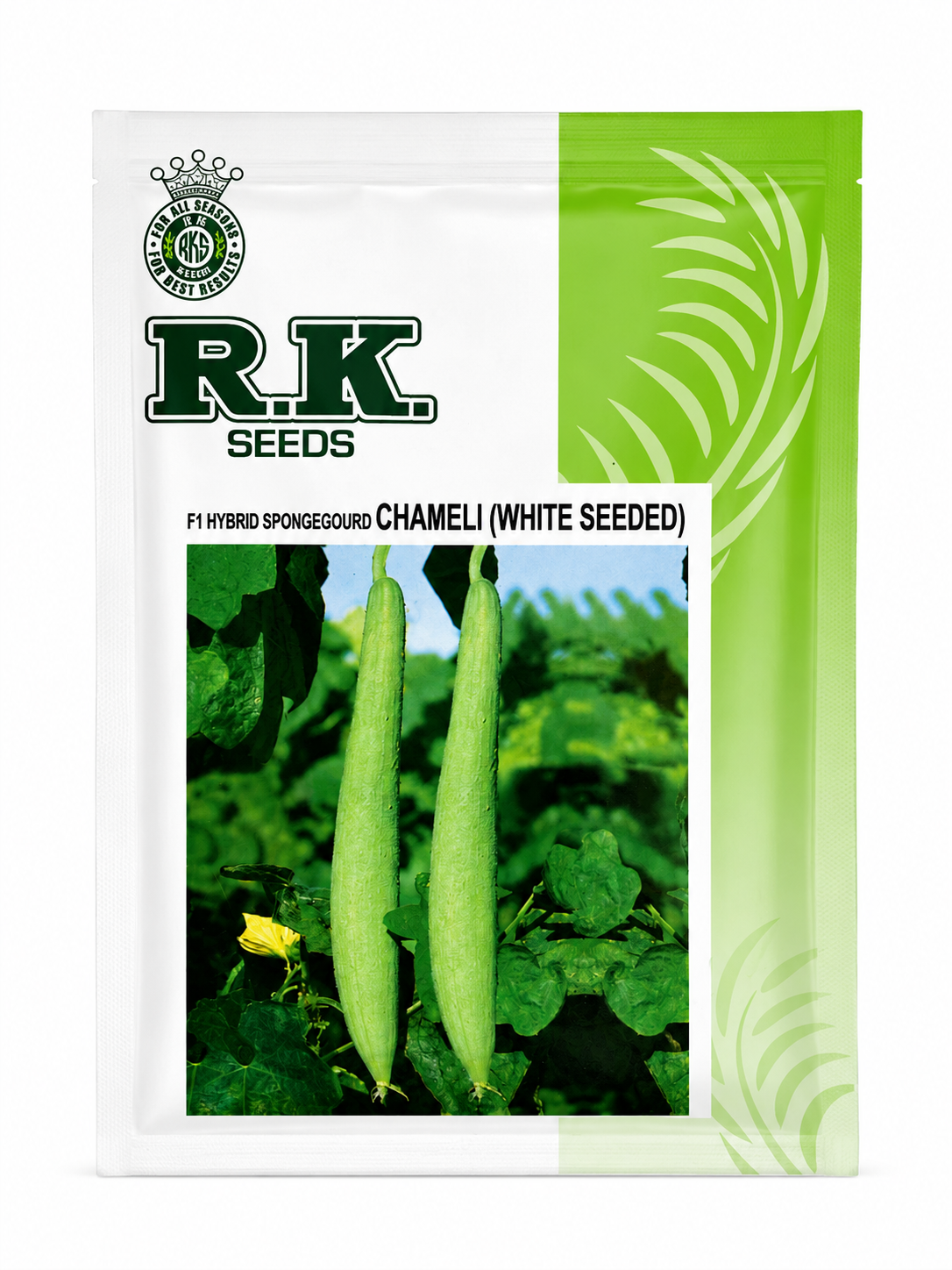R.K. Seeds F1 Hybrid Sponge Gourd (Tori) Seeds – Chameli (White Seeded) | High Yield | Outdoor Cultivation