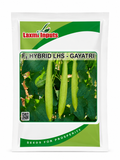 Laxmi Inputs F1 Hybrid LHS – Gayatri Sponge Gourd (Tori) Seeds for Outdoor Cultivation