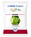 TATA Dhaanya Veg DHARA F1 Hybrid Bottle Gourd (Lauki/Ghiya) Seeds for Outdoor Farming | High Yield Hybrid Vegetable Seeds