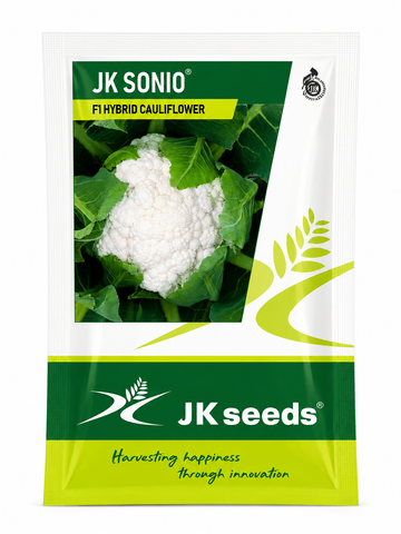 JK Sonio F1 Hybrid Cauliflower (Gobhi) Seeds for Outdoor Cultivation