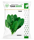 Team Seeds F1 Hybrid Vegetable Harsha Palak Seeds, Spinach Seeds, Suitable For Indian Conditions