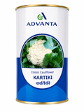 Advanta F1 Hybrid  Kartiki Classic Cauliflower (GOBHI) Seeds, High Yield & Dome White Curds
