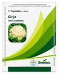 Seminis F1 Hybrid Girija Cauliflower Seeds - (Gobhi Seeds) Milky White Color, Dome shaped And Compact