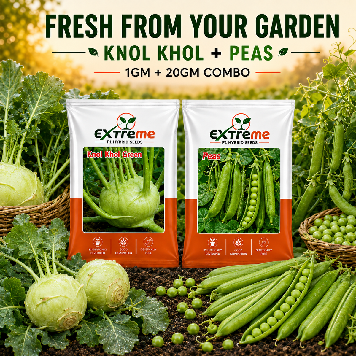 Extreme F1 Hybrid Knol Khol Seeds 1 GM + Peas Seeds 20 GM Combo | Kohlrabi & Green Peas Vegetable Seeds | Home Kitchen Terrace Garden | Outdoor Gardening
