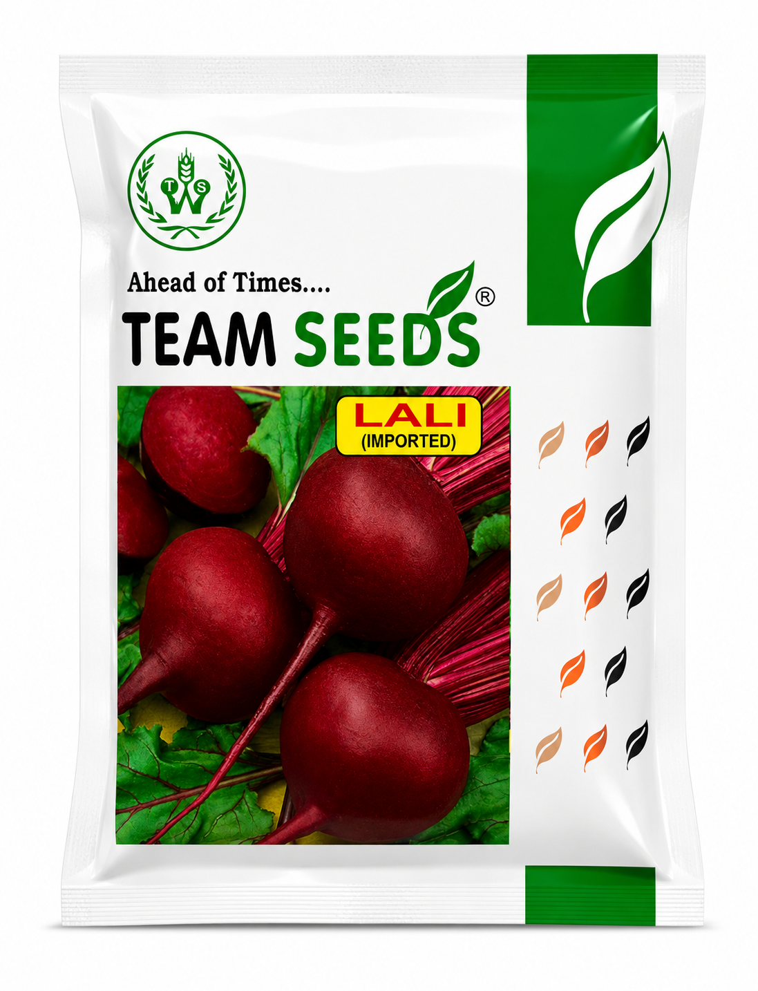 Team Seeds Imported Lali Beet Root Seeds (CHUKANDER)