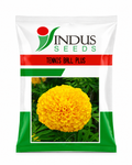 Indus F1 Hybrid TENNIS BALL PLUS MARIGOLD Flower Seeds (GENDA)