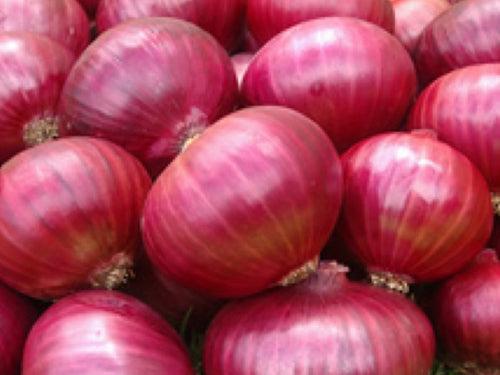 Neelam Nashik-53 Onion Seeds - (Kanda ,Pyaaz) Suitable For Kharif, Rabi And Summer Seasons