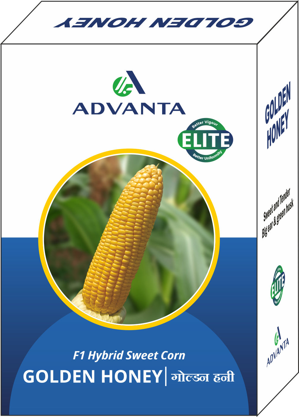 Advanta F1 Hybrid Golden Honey Sweet Corn Seed - Sugary-Enhanced Hybrid With Tender, Flavorful And Sweet Kernels