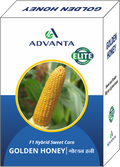 Advanta F1 Hybrid Golden Honey Sweet Corn Seed - Sugary-Enhanced Hybrid With Tender, Flavorful And Sweet Kernels