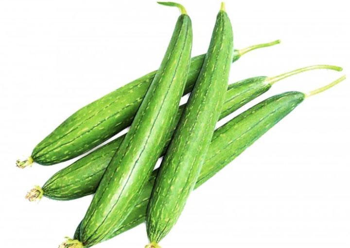 VNR Sponge Gourd Alok F1 Hybrid Seeds (Tori) Gilki ke Beej, Very High Yielding, Best In Germination