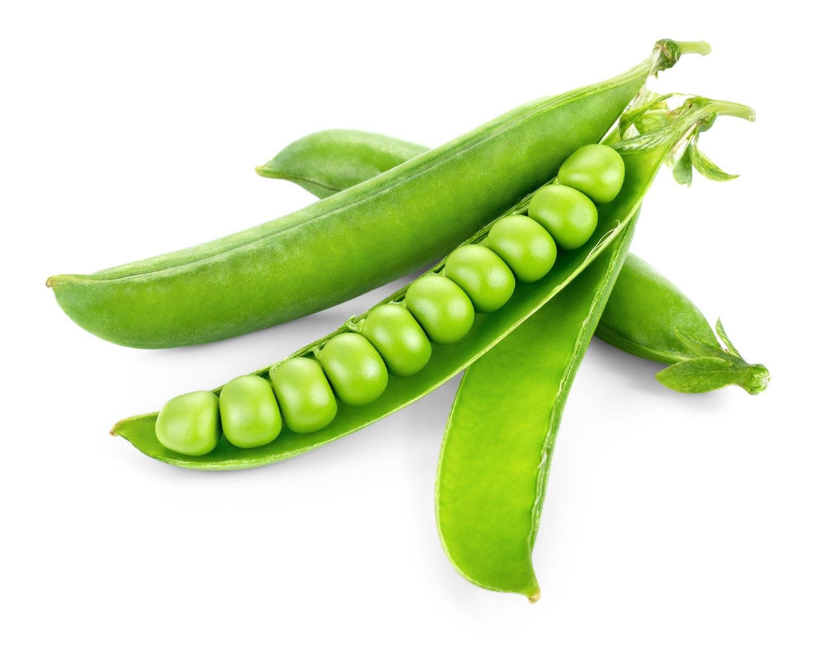 Advanta OP GS 10 Green Peas Seeds (MATAR)
