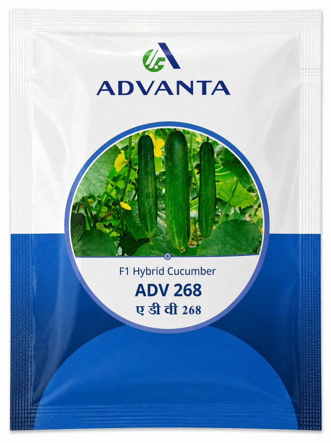 Advanta F1 Hybrid Cucumber (kheera & kakdi) ADV 268 Vegetable Seeds Pack of 8GM