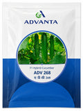 Advanta F1 Hybrid Cucumber (kheera & kakdi) ADV 268 Vegetable Seeds Pack of 8GM