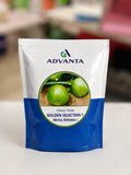 Advanta OP Classic Tinda Golden Selection-1 Vegetable Seeds