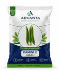 Advanta F1 Hybrid Sponge Gourd Damini-2  (Tori) Vegetable Seeds 10GM PACK