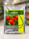 Syngenta Saaho Tomato Seeds (TO-3251) (TAMATAR) 3500 SEEDS