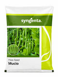 Syngenta Mucio Peas Seeds (Pencil Matar) ---1 Kg Pack