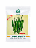 VNR Sahiba Chilli Seeds - (Mirchi Seeds) Light Green High Glossy Fruits And High Pungency