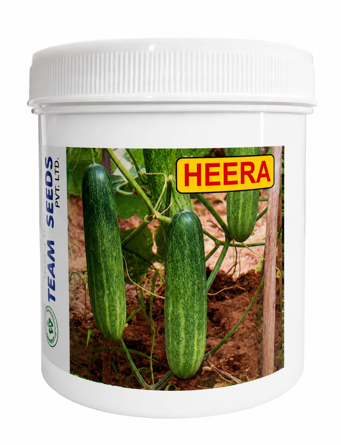 Team Seeds OP Heera Cucumber Seeds Early Maturity High Yield (Kheera)