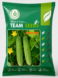 Team Seeds F1 Hybrid Arpit Cucumber Seeds (KHEERA) Early High Yield Variety