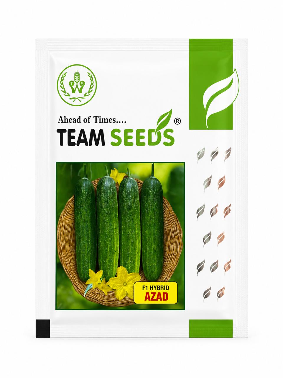 Team Seeds F1 Hybrid Azad Cucumber Seeds (kheera) for outdoor