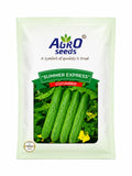Agro Seeds Summer Express Cucumber Seeds (kheera) for outdoor