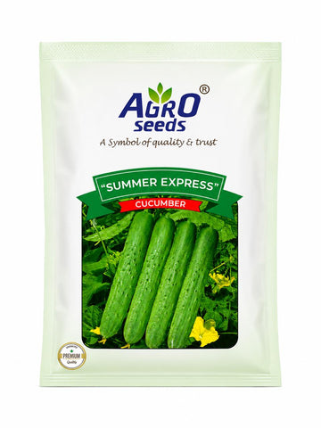 Agro Seeds Summer Express Cucumber Seeds (kheera) for outdoor