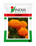 Indus F1 Hybrid KESAR Flower Seeds MariGold (GENDA)
