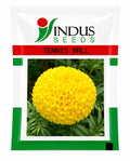 Indus F1 Hybrid TENNIS BALL MARIGOLD Flower Seeds (GENDA)