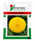 INDUS SEEDS Bijilee Yellow Moon Marigold Genda Fool, Best In Germination , Highly compact Ball