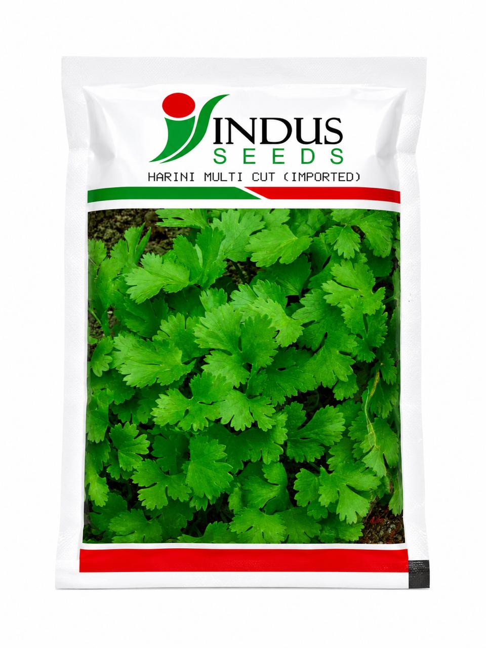 Indus Seeds Imported Harini Multicut Coriander Seeds