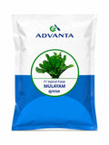 Advanta F1 Hybrid Multicut MULAYAM Palak (Spinach) Seeds Excellent Germination Quality