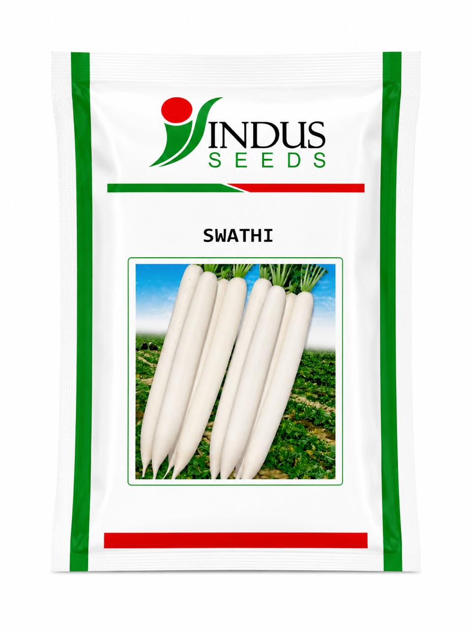 Indus F1 Hybrid Swathi Radish Seed, Ivory white Color, High Yielding Variety