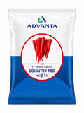 ADVANTA F1 Hybrid Country Red Carrot Seeds for Planting | High Germination | Non-GMO, Heirloom Variety | Sweet, Crunchy & Juicy Carrots | Ideal for Home Garden & Organic Farming (Gajar)