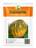 EXTREME SEEDS F1 Hybrid KASHIPHAL Pumkin Seeds (PETHA)