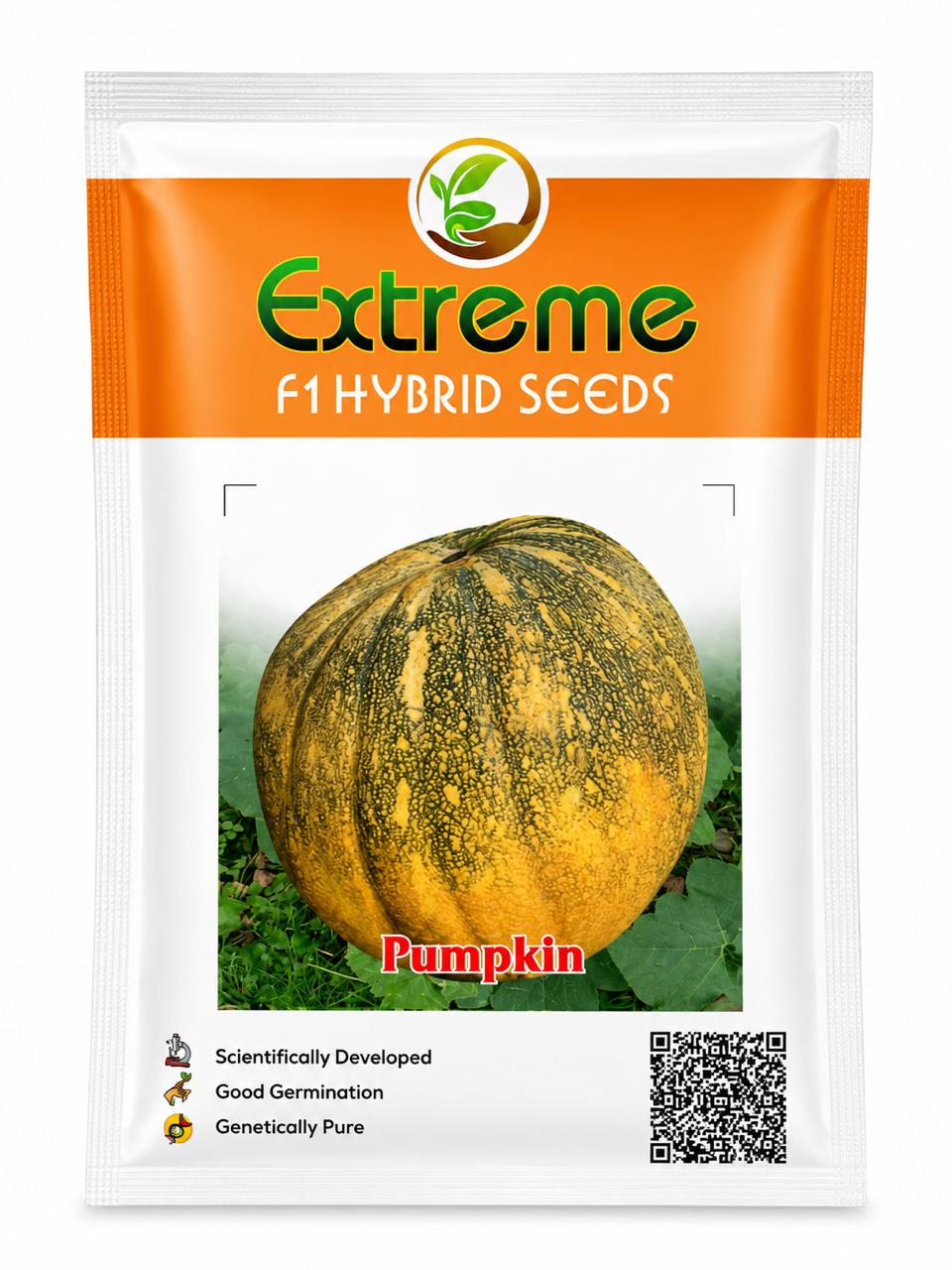 EXTREME SEEDS F1 Hybrid KASHIPHAL Pumkin Seeds (PETHA)