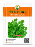 EXTREME SEEDS F1 Hybrid SUGANDH Coriander Seeds, Suitable For Multiple Cut, Dark Green Foliage Color