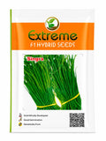 EXTREME SEEDS SINGRA Seeds for Outdoor