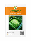 EXTREME SEEDS F1 Hybrid GREEN BALL Cabbage Seeds (BAND GOBI) Round The Year Variety, Bluish-Green Color