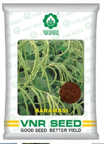 VNR Baramasi Cowpea (CHOLE FALI)  OP Seeds, High Yield, Produces Long, Green To White Fruits