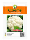 EXTREME SEEDS F1 HYBRID KGP PACK ALL TYPE OF VEGETABLES SEEDS 786
