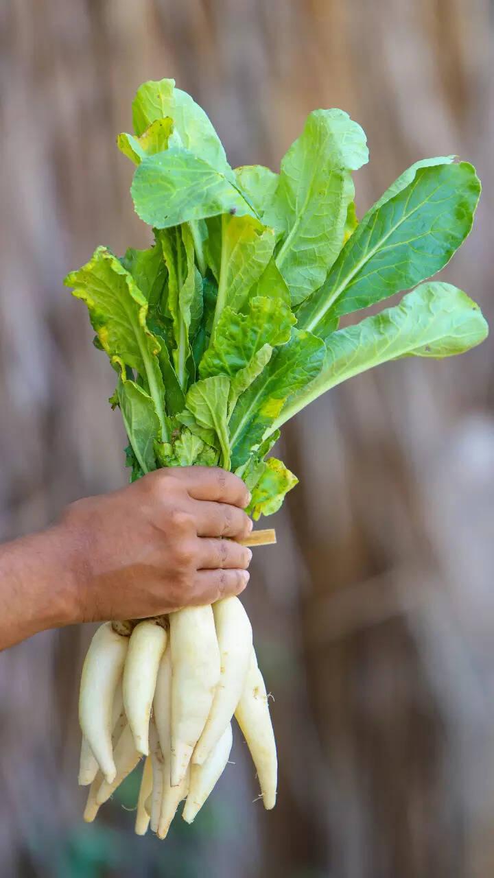 Gennext F1 Hybrid Suzuki 555 White Radish Seeds, High Yielding Variety, Pure White Root