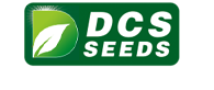 DCS F1 Hybrid Vibhu Brinjal Chuchu Seeds (bengan)