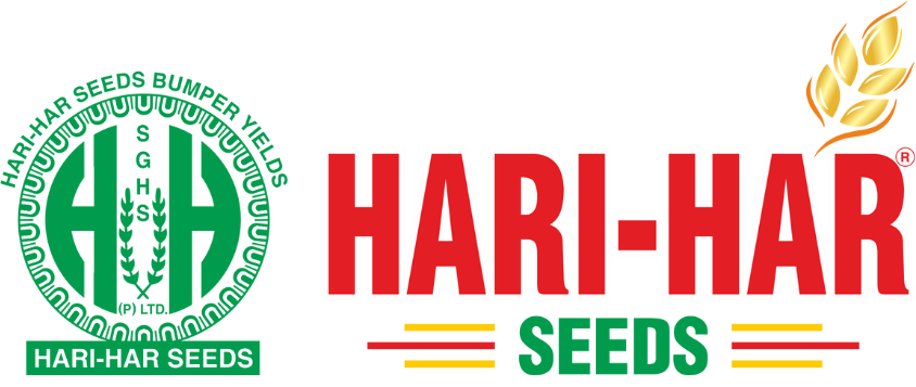 Hari Har Vikrant-65 Moong Seeds, Green Gram Seeds