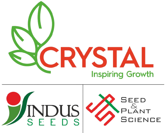Indus Seeds F1 Hybrid Flora MIX Flower Seeds