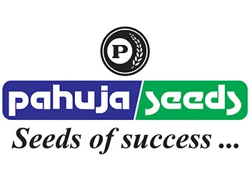 Pahuja F1 Hybrid Slobolt Cross Radish Seeds