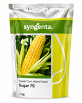 Syngenta Hybrid Sugar 75 Sweet Corn Seeds (Maize & Makka Beej) 1KG Pack