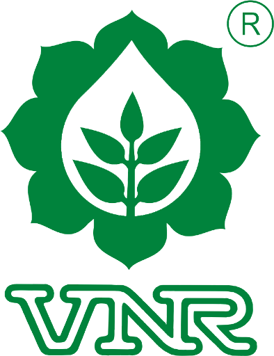 VNR Baramasi Cowpea (CHOLE FALI)  OP Seeds, High Yield, Produces Long, Green To White Fruits